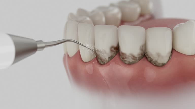 Reliable Dental contractor in Reidsville, GA by Dentist Open Now